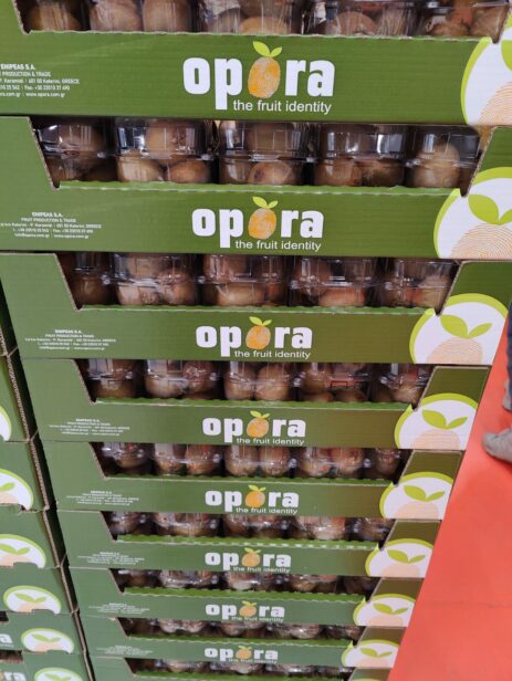 opora-kiwi-boxes